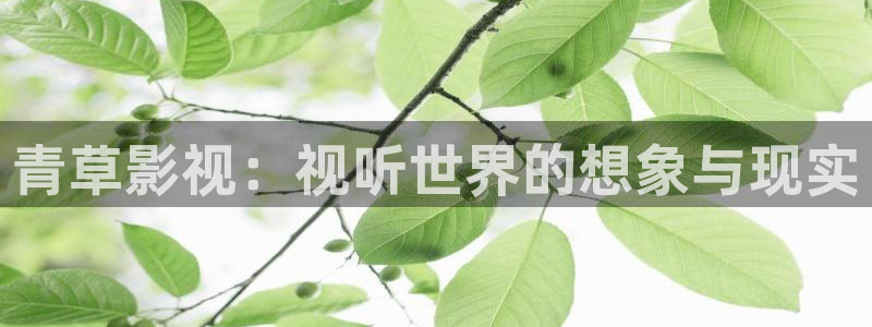 青柠影视免费看：青草影视：视听世界的想象与现实