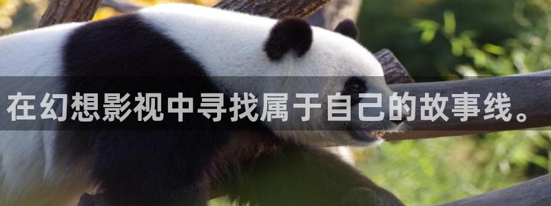 青柠影院电视剧免费看：在幻想影视中寻找属于自己的故事线。
