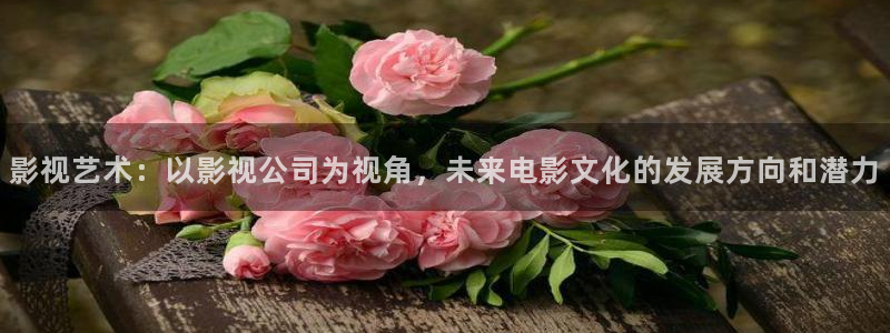 青柠影院电视剧在线观看免费完整：影视艺术：以影视公司为视角，未来电影文化的发展方向和潜力