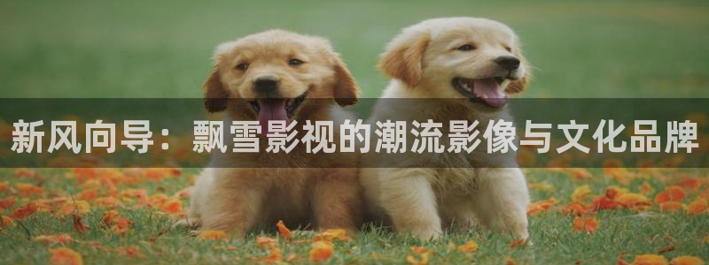 青柠影院电视剧：新风向导：飘雪影视的潮流影像与文化品牌